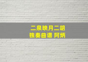 二泉映月二胡独奏曲谱 阿炳